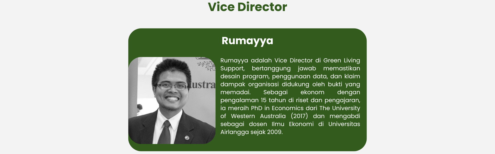 Vice Director